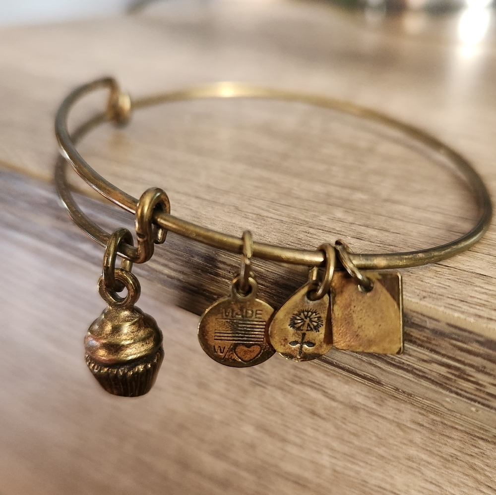 🧁 Alex and Ani Cupcake Charm Bangle Bracelet